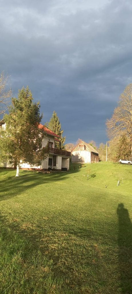 VELIKA CRKVINA, KUĆA 90m2, GOSP. OBJEKTI, ZEMLJIŠTE 7832 m2, 220.000 €