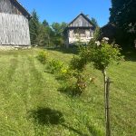 VELIKA CRKVINA, KUĆA 90m2, GOSP. OBJEKTI, ZEMLJIŠTE 7832 m2, 220.000 €