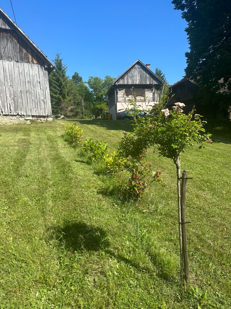 VELIKA CRKVINA, KUĆA 90m2, GOSP. OBJEKTI, ZEMLJIŠTE 7832 m2, 220.000 €
