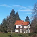 VELIKA CRKVINA, KUĆA 90m2, GOSP. OBJEKTI, ZEMLJIŠTE 7832 m2, 220.000 €