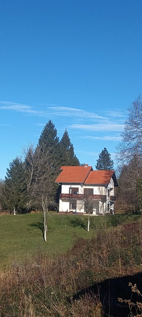 VELIKA CRKVINA, KUĆA 90m2, GOSP. OBJEKTI, ZEMLJIŠTE 7832 m2, 220.000 €