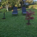 VELIKA CRKVINA, KUĆA 90m2, GOSP. OBJEKTI, ZEMLJIŠTE 7832 m2, 220.000 €