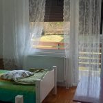 VELIKA CRKVINA, KUĆA 90m2, GOSP. OBJEKTI, ZEMLJIŠTE 7832 m2, 220.000 €