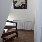 VELIKA CRKVINA, KUĆA 90m2, GOSP. OBJEKTI, ZEMLJIŠTE 7832 m2, 220.000 €