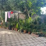 PRILIKA TOP LOKACIJA STAN TREŠNJEVKA 36m2 SA VRTOM (prodaja)