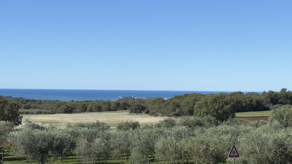 Luksuzna vila u Istri (Tar-Vabriga), novogradnja + maslinik s 50 maslina 2396m2