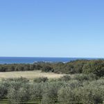 Luksuzna vila u Istri (Tar-Vabriga), novogradnja + maslinik s 50 maslina 2396m2