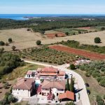 Luksuzna vila u Istri (Tar-Vabriga), novogradnja + maslinik s 50 maslina 2396m2